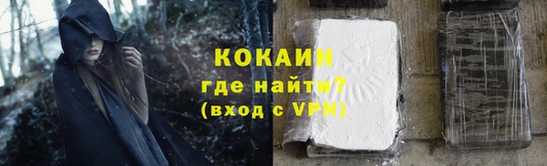 твердый Арсеньев