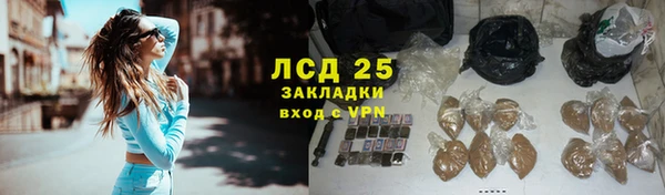 гашик Аркадак