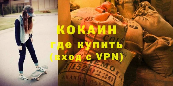 твердый Арсеньев