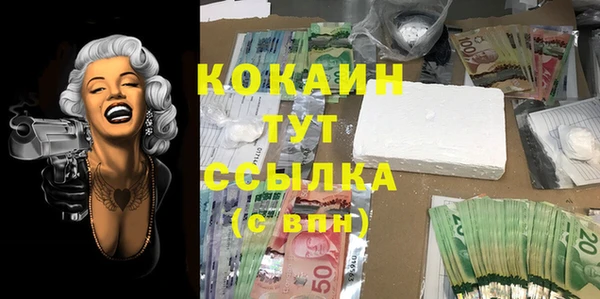 гашик Аркадак