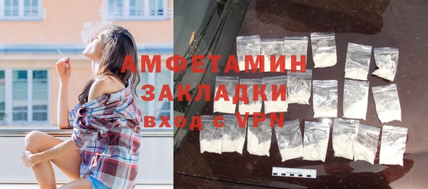 твердый Арсеньев