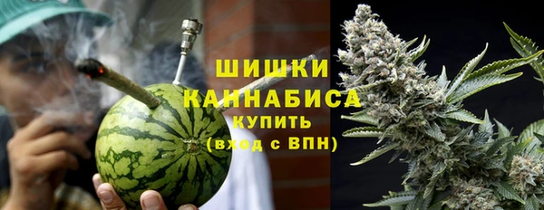 твердый Арсеньев