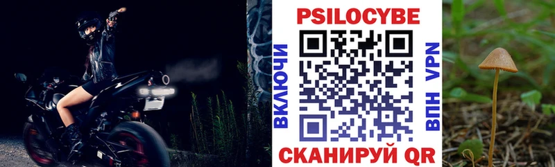 omg как войти  Пролетарск  Галлюциногенные грибы Magic Shrooms 